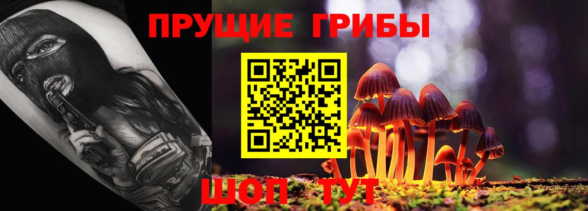 Мурино  Галлюциногенные грибы Psilocybe  Вход с VPN 